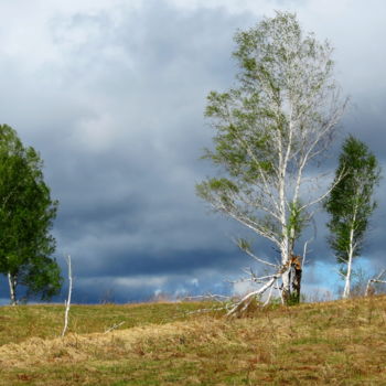 Photography titled "Осенняя зарисовка" by Nikolai Matiushenkov, Original Artwork