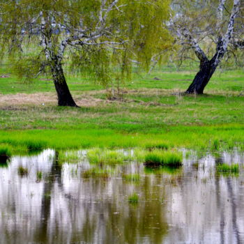 Photography titled "Весенний сюжет" by Nikolai Matiushenkov, Original Artwork