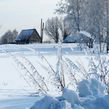 Фотография под названием "Зимний сюжет с Алтая" - Николай Матюшенков, Подлинное произведение искусства