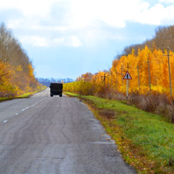 Фотография под названием "Осенняя дорога" - Николай Матюшенков, Подлинное произведение искусства