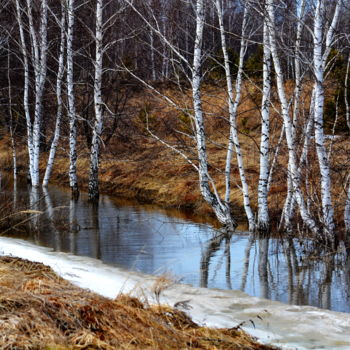 Photography titled "Последний снег" by Nikolai Matiushenkov, Original Artwork