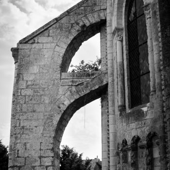 Fotografia intitolato "Envoler" da Nikam Zeiss, Opera d'arte originale