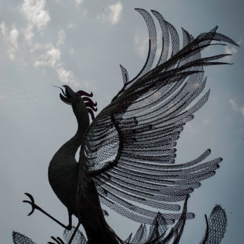Photographie intitulée "Le Phoenix" par Nikam Zeiss, Œuvre d'art originale
