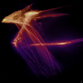 Fotografía titulada "Le Phoenix" por Nikam Zeiss, Obra de arte original