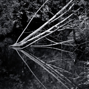 Φωτογραφία με τίτλο "Ombres et lumières…" από Nikam Zeiss, Αυθεντικά έργα τέχνης, Ψηφιακή φωτογραφία