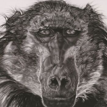 Σχέδιο με τίτλο "Baboon" από Niki Saunders, Αυθεντικά έργα τέχνης, Μελάνι