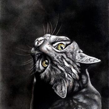 Dessin intitulée "African Wild Cat" par Niki Saunders, Œuvre d'art originale, Encre Monté sur Carton
