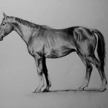 Drawing titled "Horse see" by Nikoliia Gribko, Original Artwork, Pencil