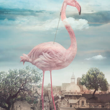 Digital Arts titled "What Else is Out Th…" by Nikolina Petolas, Original Artwork, Photo Montage