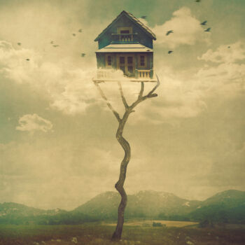 「Bird House, medium,…」というタイトルのデジタルアーツ Nikolina Petolasによって, オリジナルのアートワーク