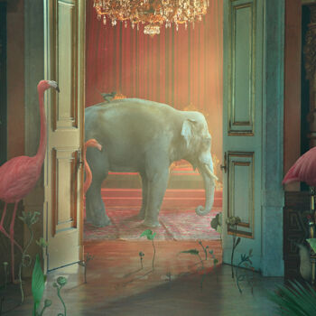 Digital Arts titled "Jungle Nights" by Nikolina Petolas, Original Artwork, Manipulated Photography