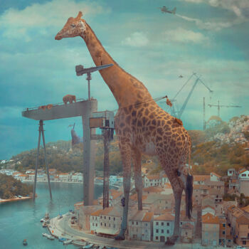 Digital Arts titled "High and Away, 90x6…" by Nikolina Petolas, Original Artwork, Photo Montage