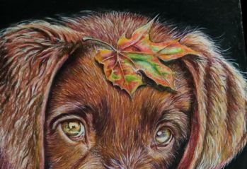 Rysunek zatytułowany „Собачка и листья” autorstwa Виктория Марценюк, Oryginalna praca, Conté