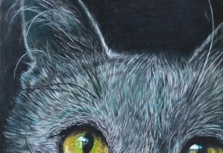 Dessin intitulée "Кошка" par Viktoriia Martseniuk, Œuvre d'art originale, Crayon