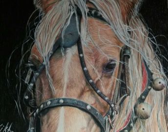 Dessin intitulée "лошадь" par Viktoriia Martseniuk, Œuvre d'art originale, Crayon