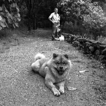 Φωτογραφία με τίτλο "nino-rocha-fotograf…" από Nino Rocha Fotografia, Αυθεντικά έργα τέχνης