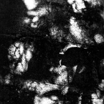 Fotografia intitolato "penumbra- pareidolia" da Nino Rocha Fotografia, Opera d'arte originale, Fotografia digitale