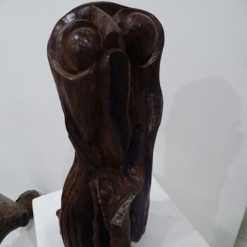 Sculptuur getiteld "O mocho" door Nino Trindade Nilton Piores Da Trindade, Origineel Kunstwerk, Hout