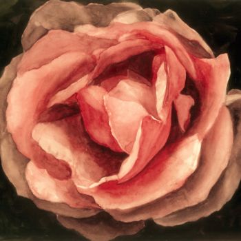 Pintura intitulada "ROSE IN BLOOM" por Nives Palmić, Obras de arte originais, Aquarela