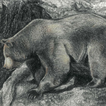 Рисунок под названием "BROWN BEAR (based o…" - Nives Palmić, Подлинное произведение искусства, Древесный уголь