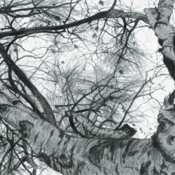 Rysunek zatytułowany „WINDOW IN THE SKY” autorstwa Nives Palmić, Oryginalna praca, Węgiel drzewny