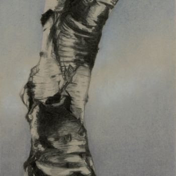 Drawing titled "BIRCH BODY II (Life…" by Nives Palmić, Original Artwork, Charcoal
