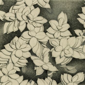 Drawing titled "FOLIAGE" by Nives Palmić, Original Artwork, Graphite