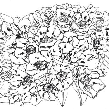 Рисунок под названием "MOUNTAIN LAUREL Flo…" - Nives Palmić, Подлинное произведение искусства, Чернила
