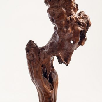 Escultura intitulada "minotauro" por Nivianodesign, Obras de arte originais, Madeira