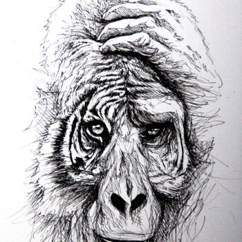 Drawing titled "Tiger Gorilla" by Art De Noé, Original Artwork, Ink