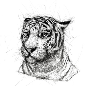Disegno intitolato "Tiger lines" da Art De Noé, Opera d'arte originale, Inchiostro