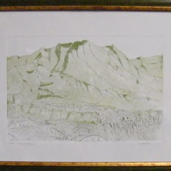 Obrazy i ryciny zatytułowany „ile de la Réunion” autorstwa Noël Barbot, Oryginalna praca, Rytownictwo