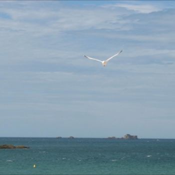 Photography titled "Mouette 2" by Noëlle Harault, Original Artwork