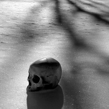 Photography titled "The Dead of Winter" by Rein Nomm, Original Artwork