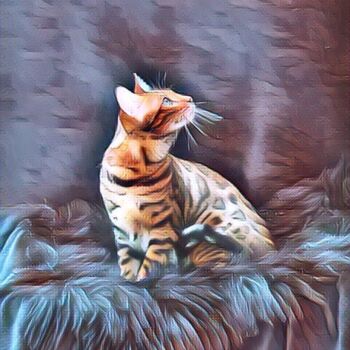 Arts numériques intitulée "Surealism Cat" par Nooebstro, Œuvre d'art originale, Peinture numérique