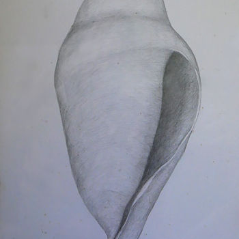 Drawing titled "wedding conch" by Norachai, Original Artwork, Pencil