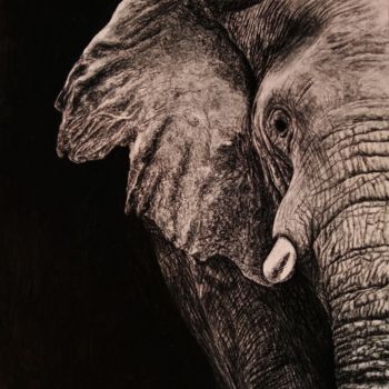 Tekening getiteld "elephant" door Victor Novikov, Origineel Kunstwerk, Grafiet