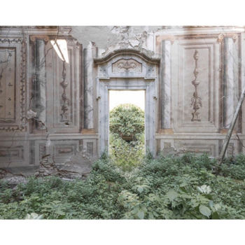 Фотография под названием "-NatureLaw-" - Pierre Neret (Npier), Подлинное произведение искусства, Цифровая фотография