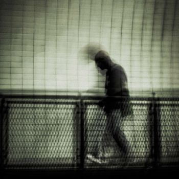 Fotografia zatytułowany „not alone” autorstwa Walkingsea, Oryginalna praca