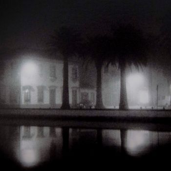 Photographie intitulée "misty palm trees" par Walkingsea, Œuvre d'art originale