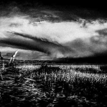 Fotografia intitulada "white grey sky VI" por Walkingsea, Obras de arte originais