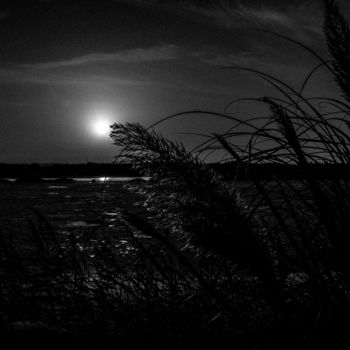 Fotografie getiteld "late sunshine III" door Walkingsea, Origineel Kunstwerk