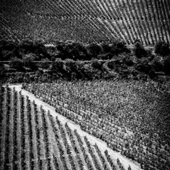Fotografia zatytułowany „Douro valley III” autorstwa Walkingsea, Oryginalna praca