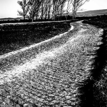 「stone road...」というタイトルの写真撮影 Walkingseaによって, オリジナルのアートワーク