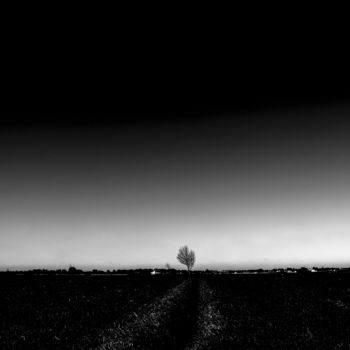 Fotografia intitolato "minimalist trees II…" da Walkingsea, Opera d'arte originale