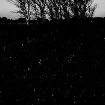 Photographie intitulée "dark trees..." par Walkingsea, Œuvre d'art originale
