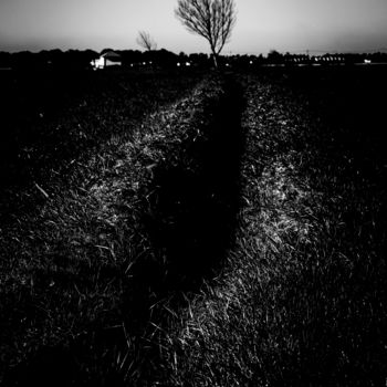Photographie intitulée "minimalist trees VI…" par Walkingsea, Œuvre d'art originale