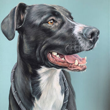 Desenho intitulada "Pastel dog portrait" por Olga Tsvetkova, Obras de arte originais, Pastel