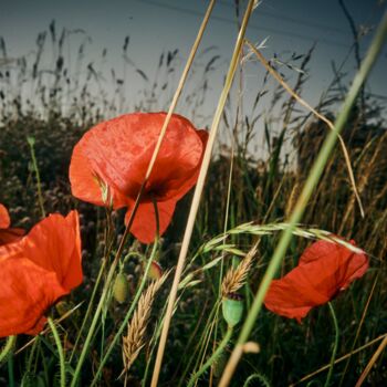 Photographie intitulée "Nuclear Summer" par Oana Bakovic, Œuvre d'art originale, Photographie numérique