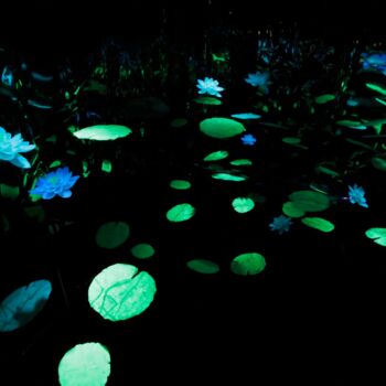 Installation intitulée "Lotus Land" par Noriko Obara, Œuvre d'art originale, Installation d'art